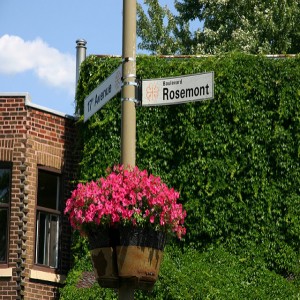 (Re)découvrir le quartier Rosemont en 5 adresses classiques