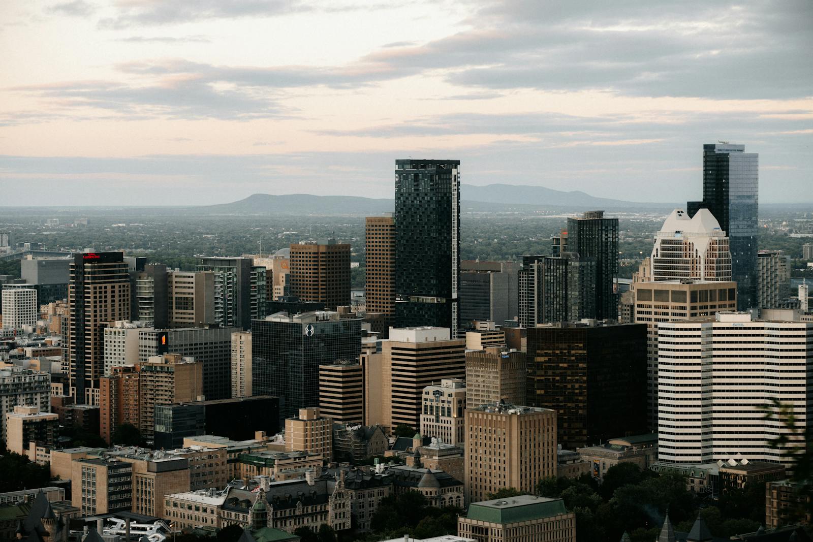 Marché immobilier Montréal 2025 : skyline du centre-ville